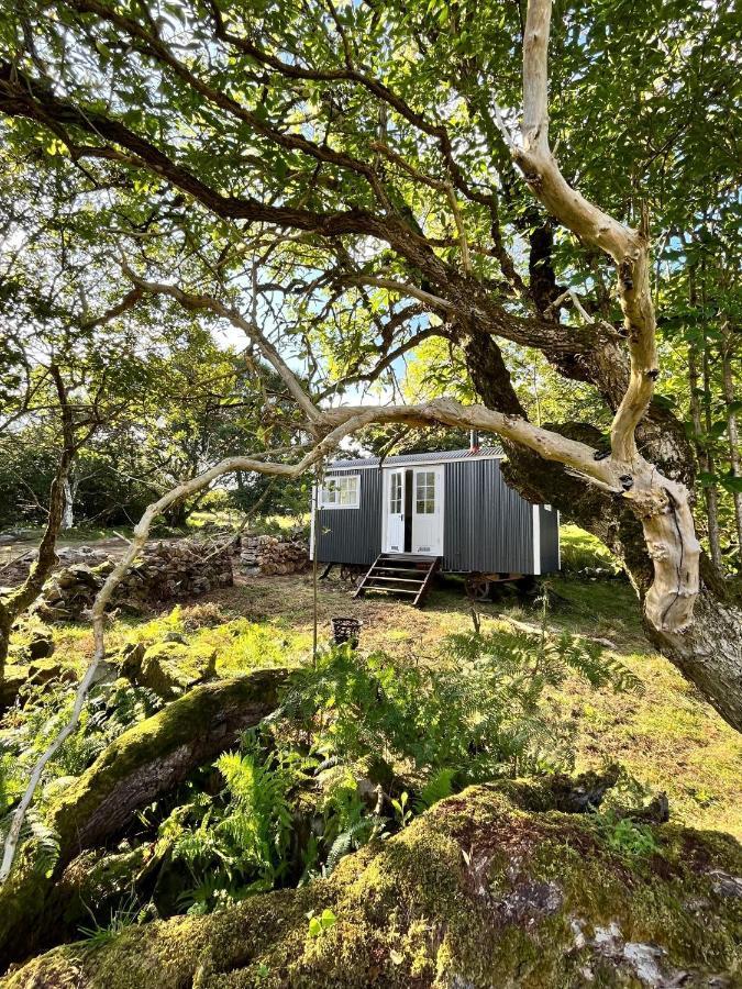 The Hazel Hut Villa Уестпорт Екстериор снимка