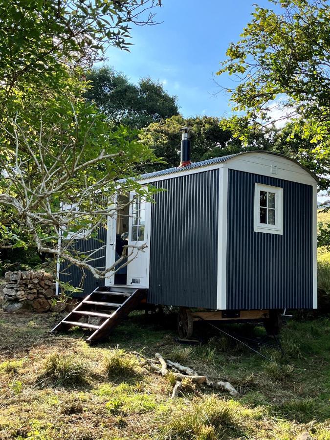 The Hazel Hut Villa Уестпорт Екстериор снимка